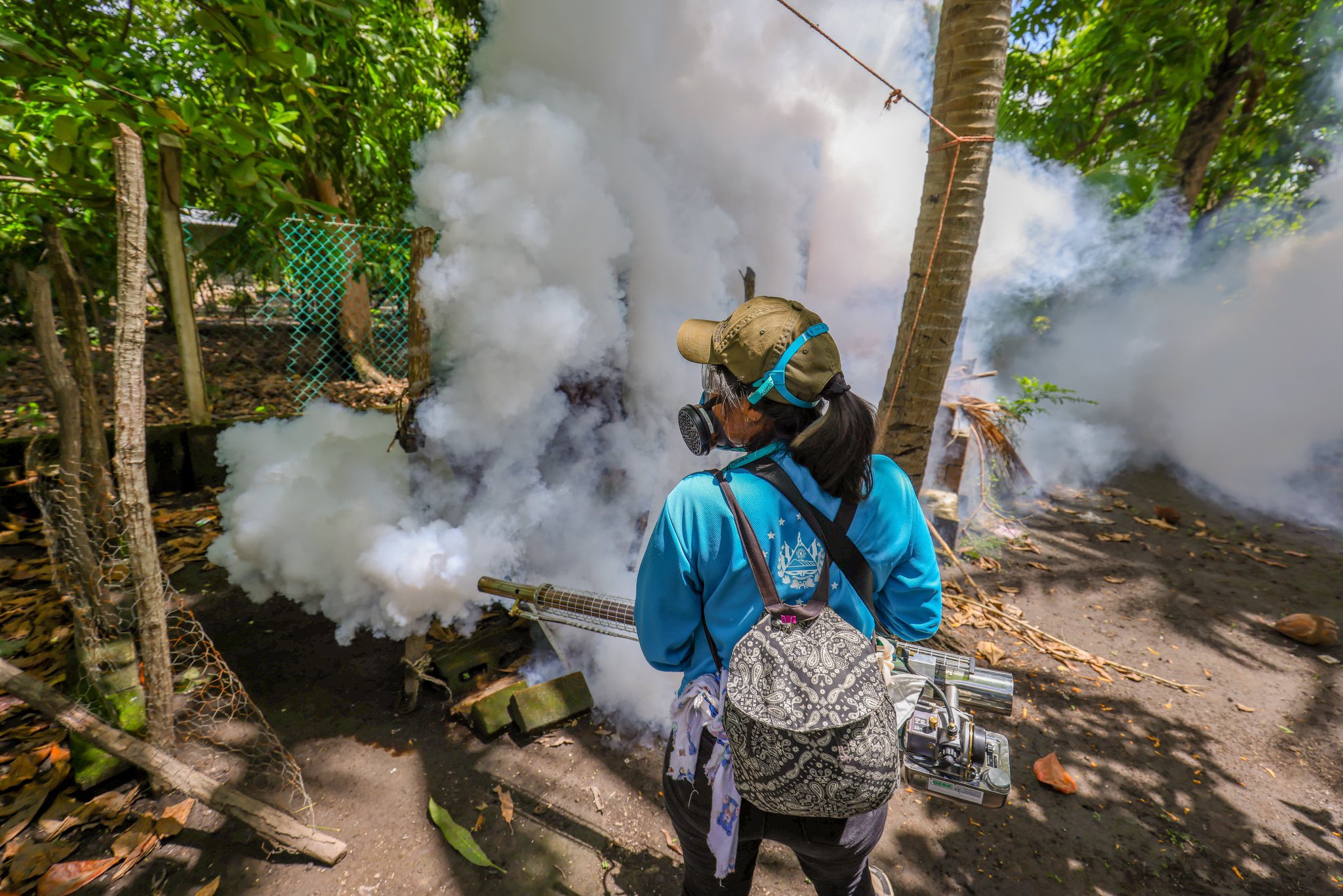 jornadas-de-fumigacion-de-la-dom-se-extienden-a-san-luis-la-herradura-la-paz